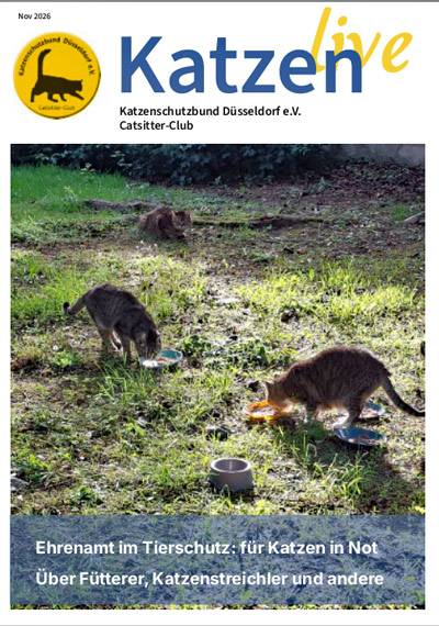 Katzen Live 2026