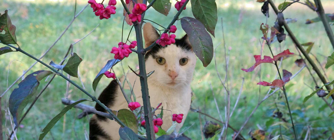 KSB aktuelles neu 001