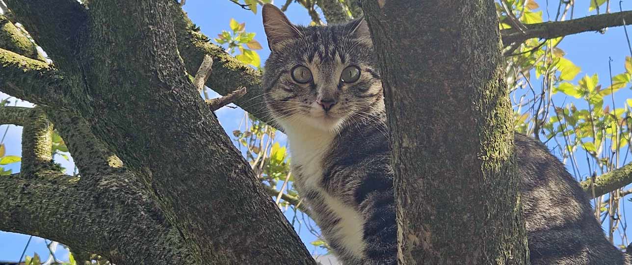 KSB aktuelles neu 001