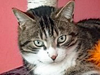 2024 10 21 Kater Charly 00