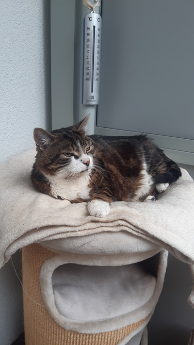 2024 10 21 Kater Charly 01