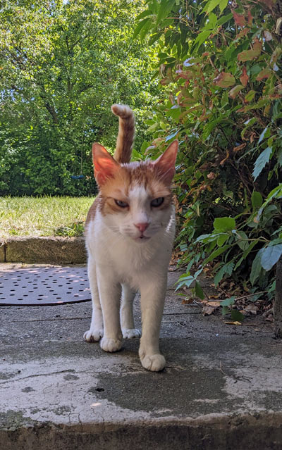2025 02 25 Kater Moses 01
