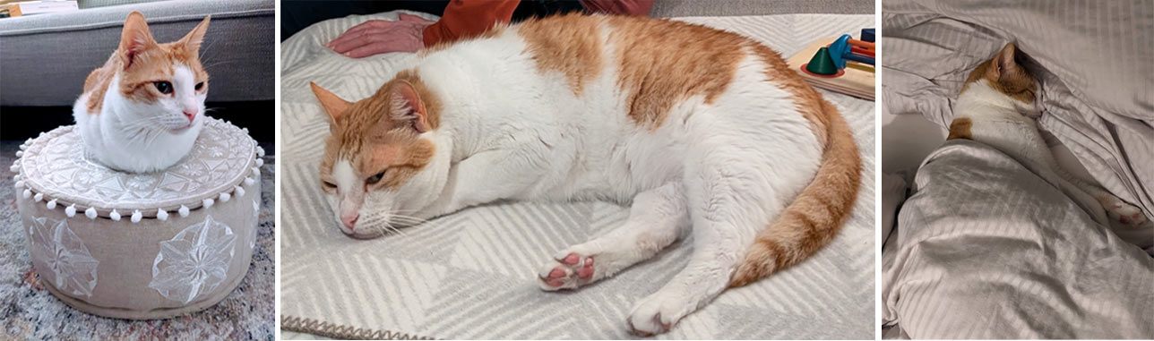 2025 02 25 Kater Moses 02