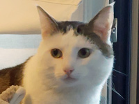 2025 06 10 Kater Azad 00