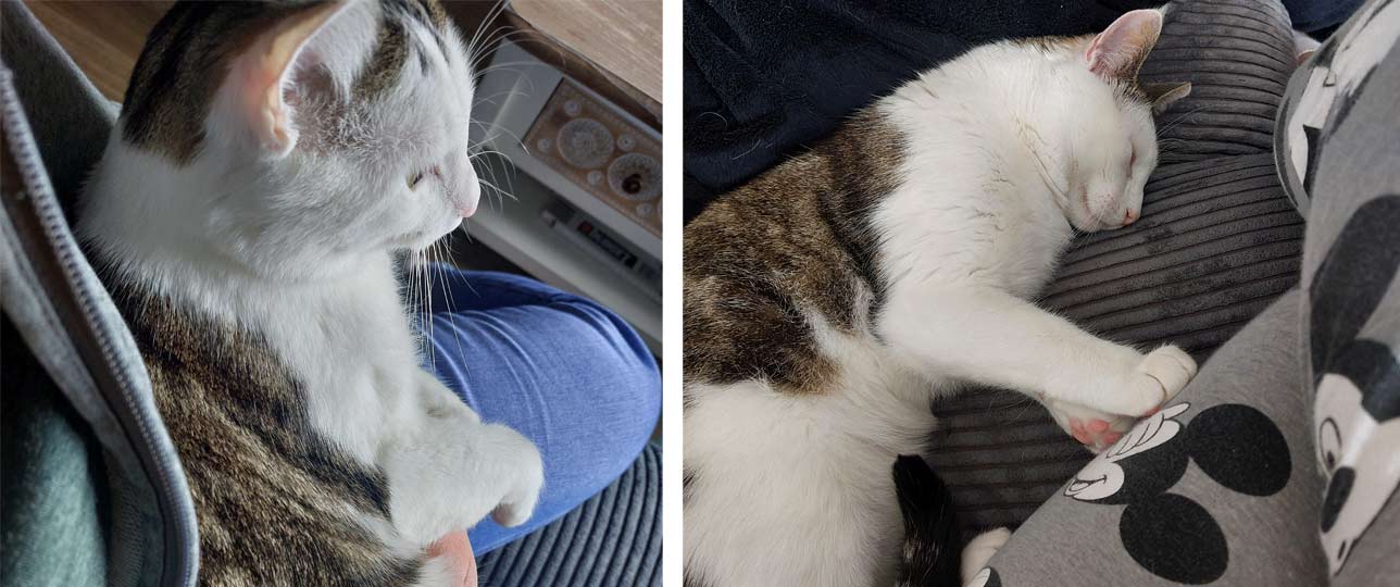2025 06 10 Kater Azad 02