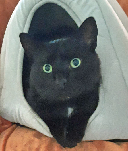 2025 06 30 Kater Bailey 02