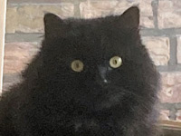 2025 08 26 Kater Lauren 00