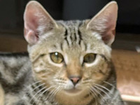 2025 09 12 Kater Dominik 00