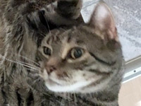 2025 09 17 Kater Kalle 00