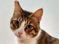 2025 11 08 Kater Charlie 00