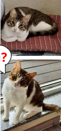 2025 11 08 Kater Charlie 01