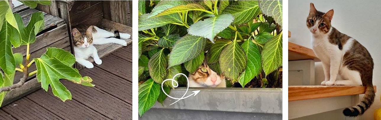 2025 11 08 Kater Charlie 02