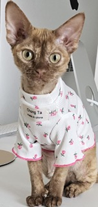 2025 11 17 Ida Charlie 01