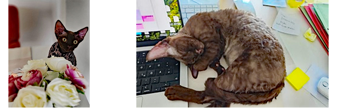 2025 11 17 Ida Charlie 02