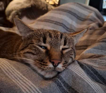 2025 12 04 Kater Cezar 01