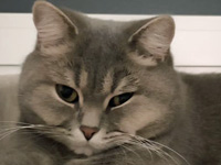 2026 02 24 Alyah Milan 00