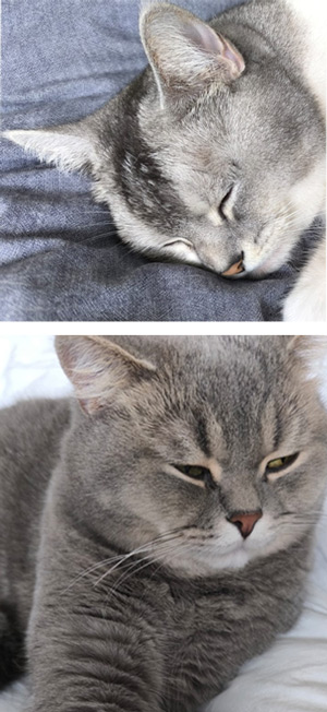 2026 02 24 Alyah Milan 01