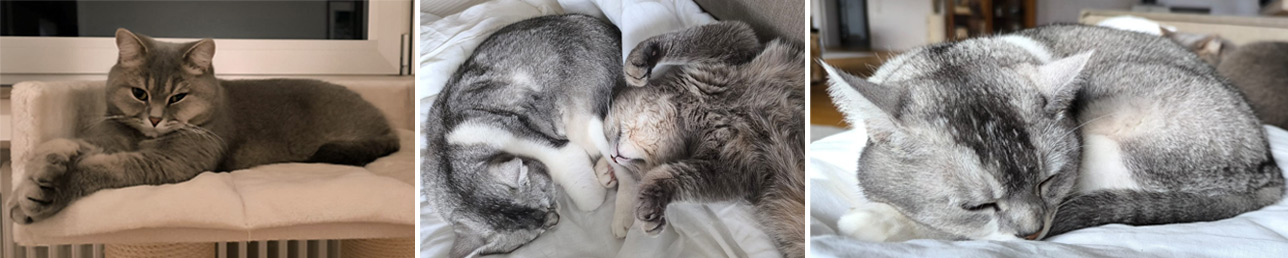 2026 02 24 Alyah Milan 02