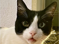 2026 08 10 Kater Bounty 00